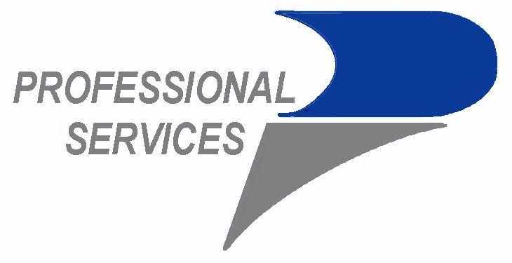 pROFESSIONAL SERVICES